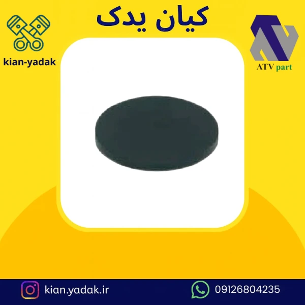 پولک دنده زیر روآ