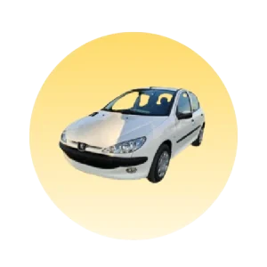 لوازم یدکی 206